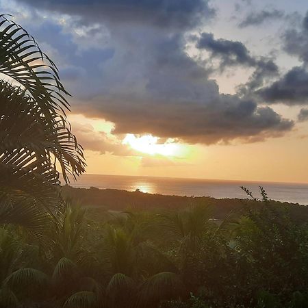 Oasis De Grande Anse Villa Deshaies Exterior photo