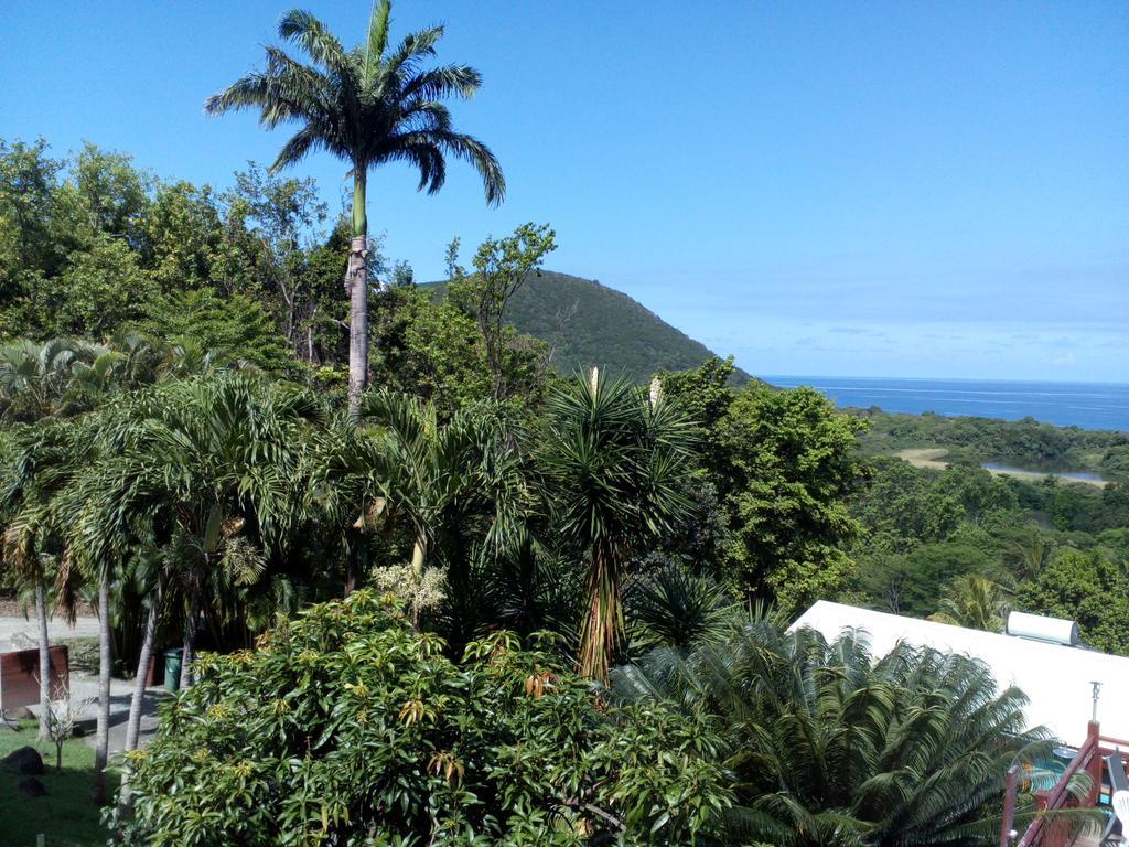 Oasis De Grande Anse Villa Deshaies Exterior photo