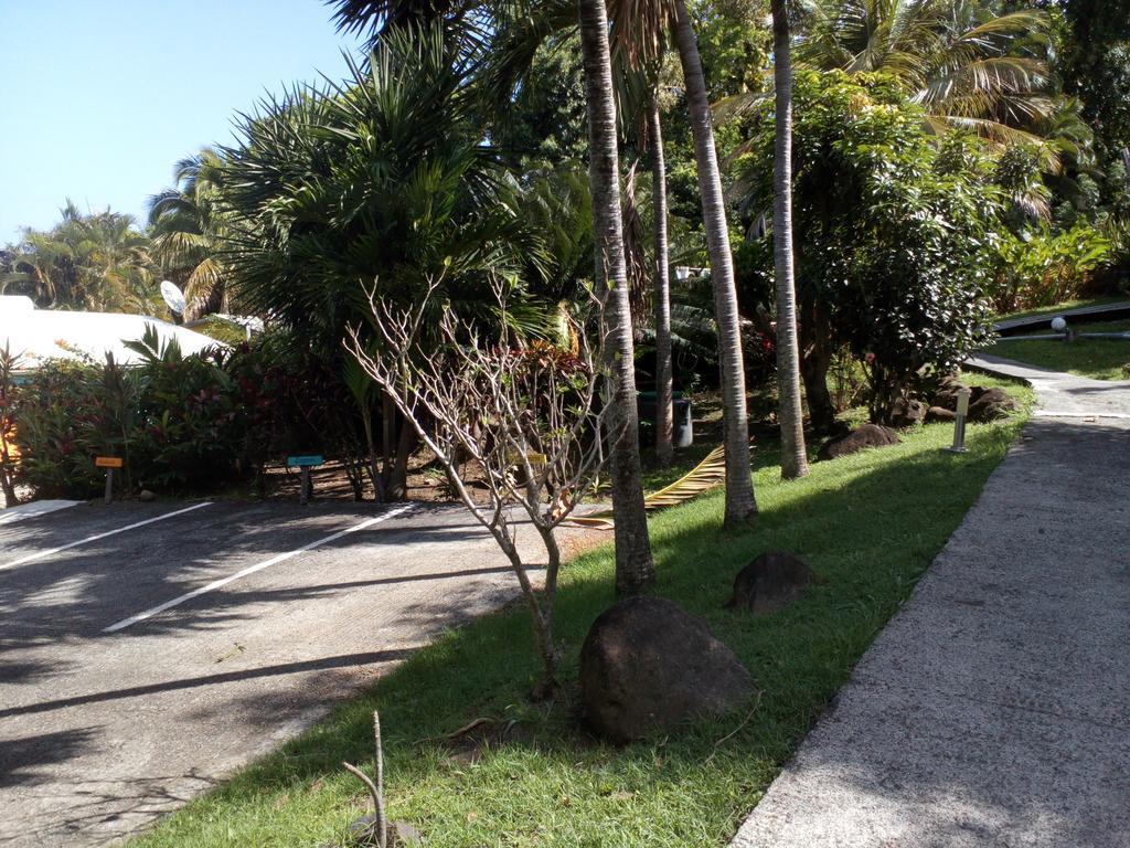 Oasis De Grande Anse Villa Deshaies Exterior photo
