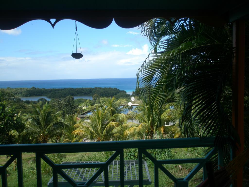 Oasis De Grande Anse Villa Deshaies Exterior photo