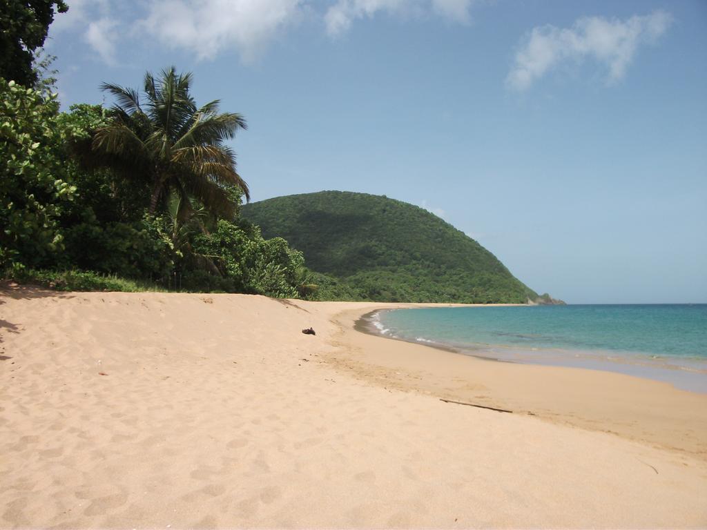 Oasis De Grande Anse Villa Deshaies Room photo