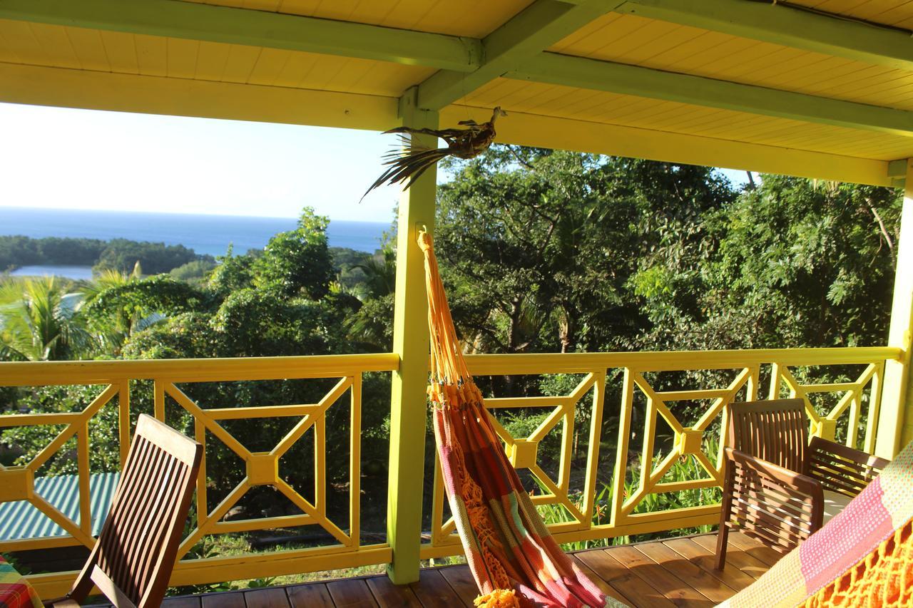 Oasis De Grande Anse Villa Deshaies Exterior photo