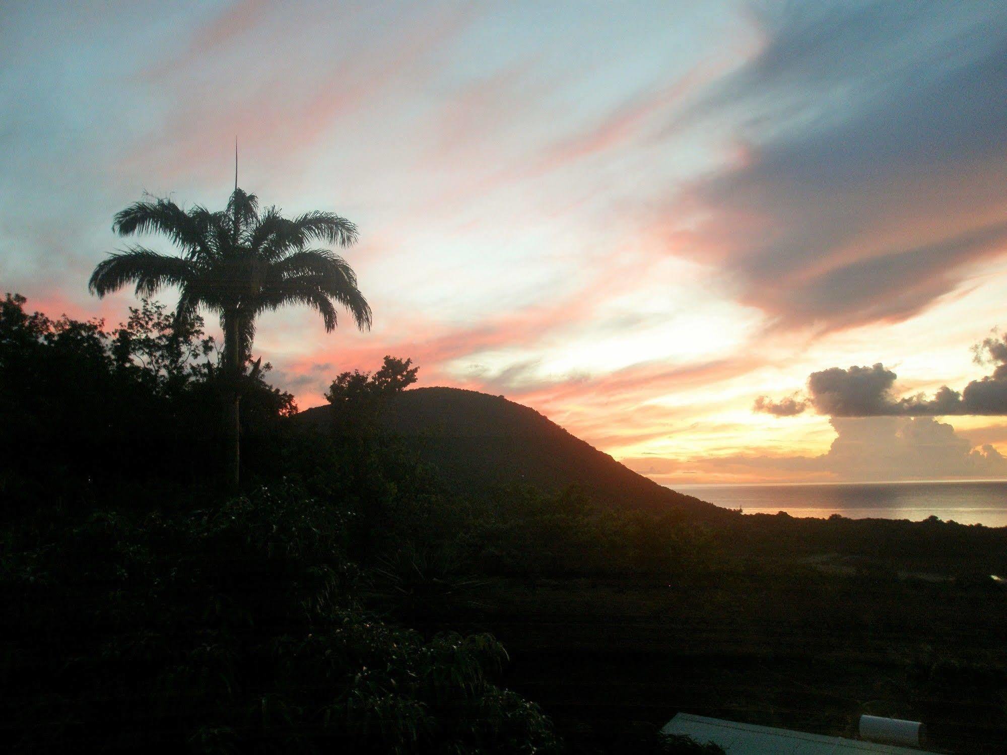 Oasis De Grande Anse Villa Deshaies Exterior photo