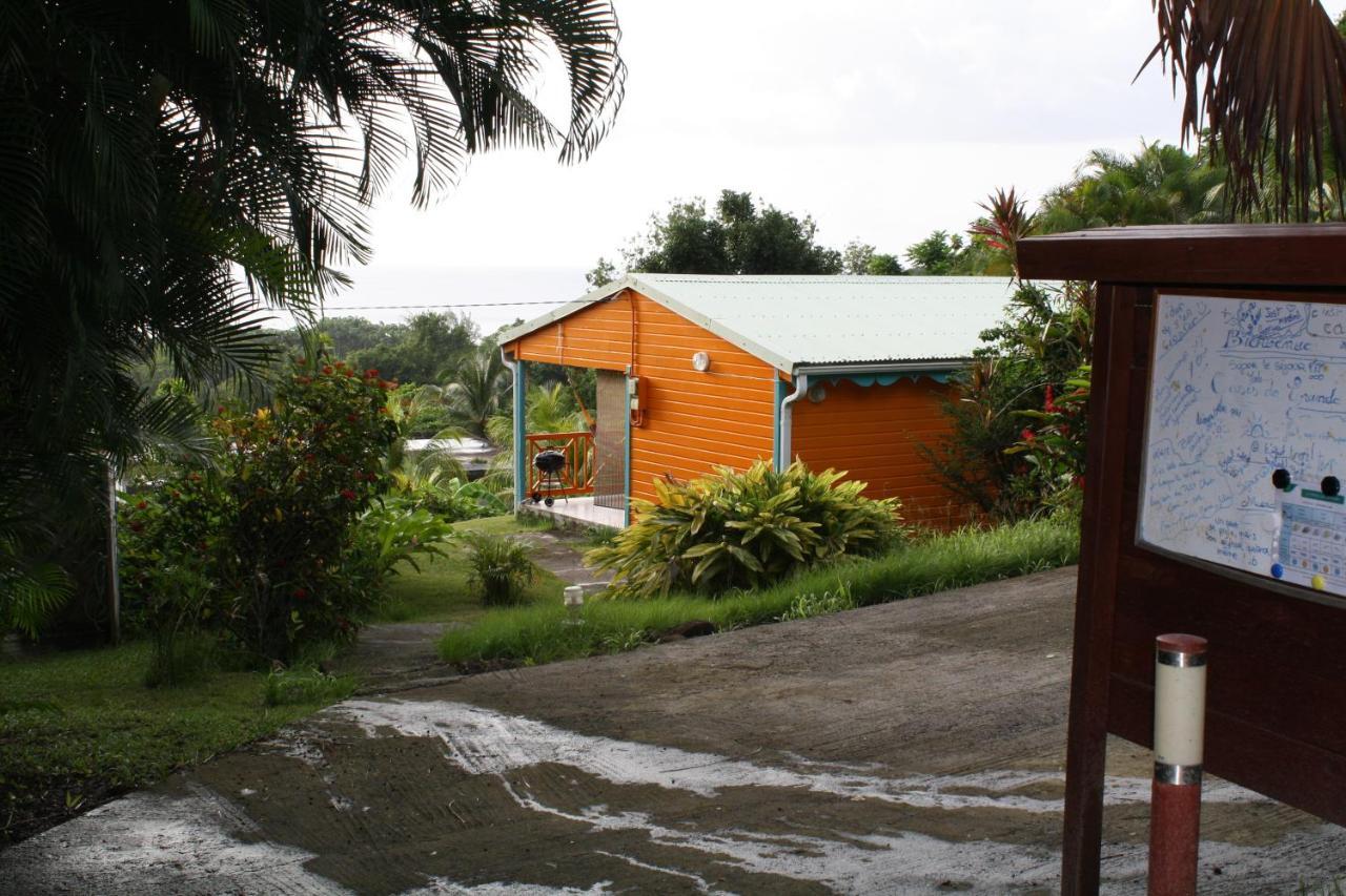 Oasis De Grande Anse Villa Deshaies Exterior photo